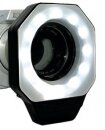 Dörr LED Ringlicht